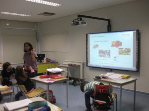 IMG_5391