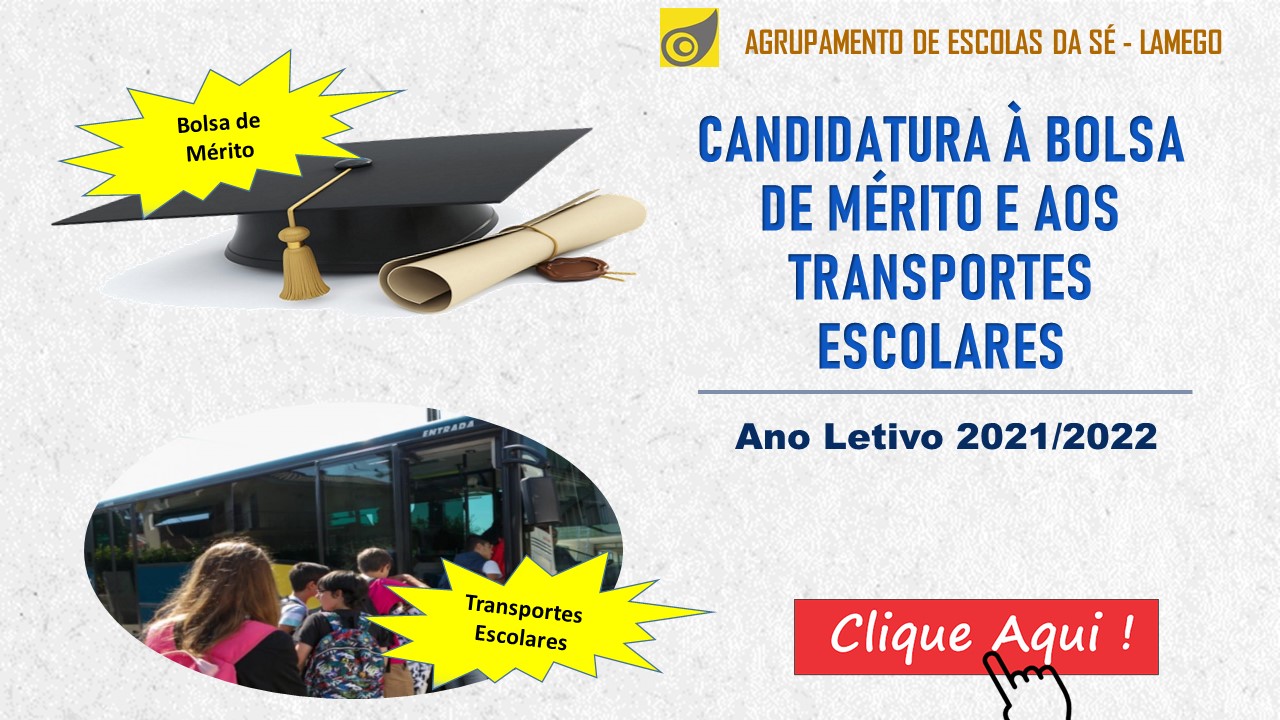 candidatura bolsa merito transportes escolares 2021 2022