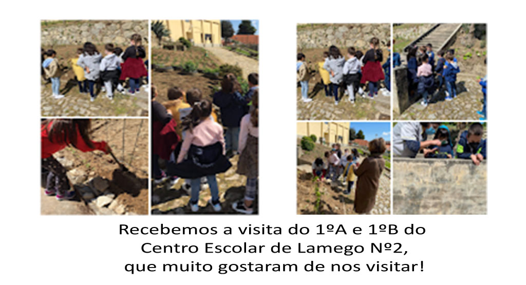 Visita-Alunos-Centros-Escolares